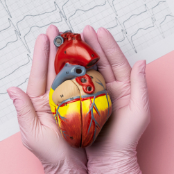 arrhythmia treatment brooklyn